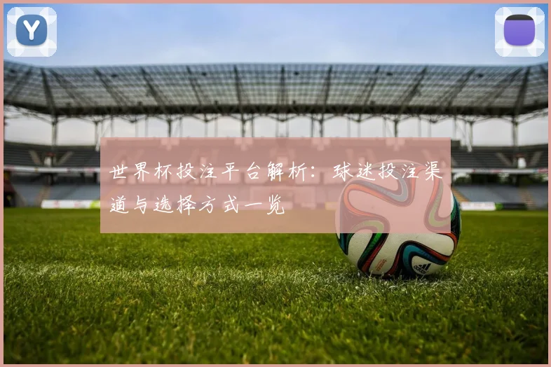 世界杯投注平台解析：球迷投注渠道与选择方式一览
