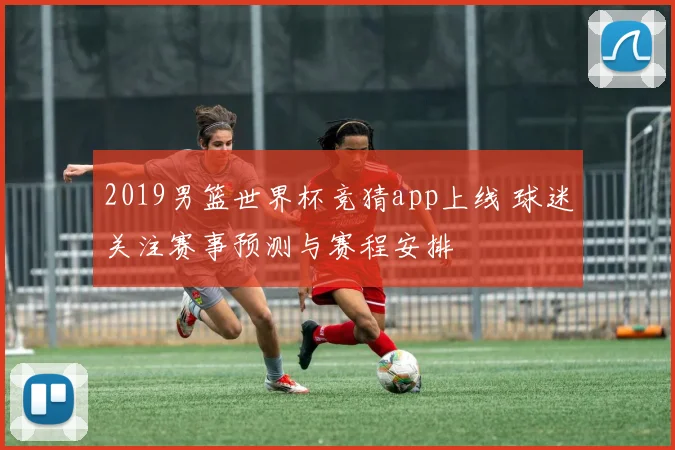 2019男篮世界杯竞猜app上线 球迷关注赛事预测与赛程安排