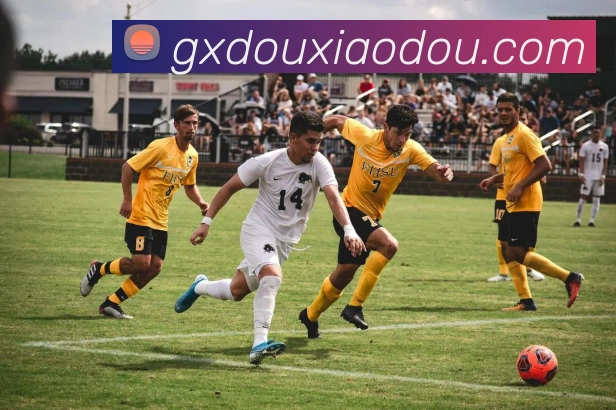 mksports网站APP 封面图